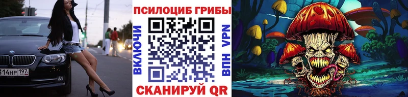 где продают наркотики  Сенгилей  Галлюциногенные грибы Psilocybine cubensis 